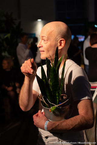 Fern Orchestra Fern Orchestra